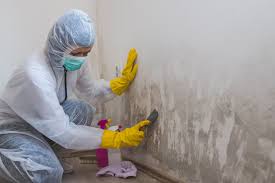 Why You Should Choose Our Mold Remediation Services in Reamstown, PA